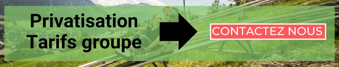 tarifs groupe privatisation luge 4s