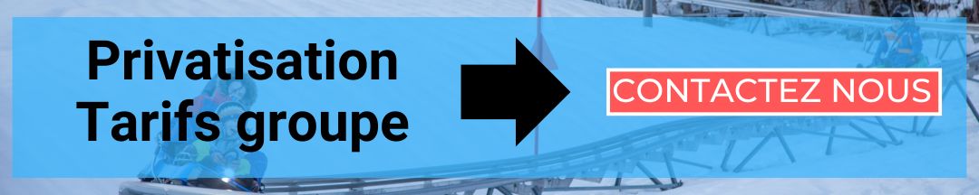 privatisation luge 4s hiver